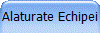 Alaturate Echipei